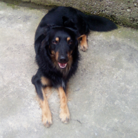 Photo #272014 de Moka