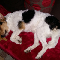 Photo #272022 de Jack 
