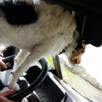 Photo #272024 de Jack 