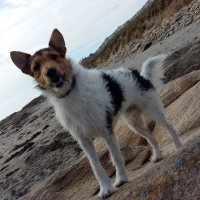 Photo #272025 de Jack 