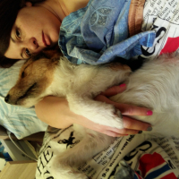 Photo #272026 de Jack 