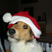Photo #272027 de Jack 