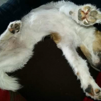 Photo #272088 de Jack 