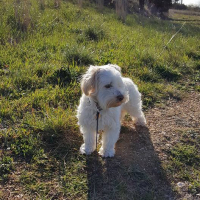 Photo #272112 de Rosko