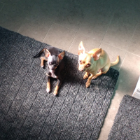 Photo #272204 de Léo