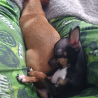 Photo #272205 de Léo