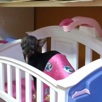 Photo #272206 de Léo