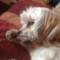 Photo #272214 de Youpi