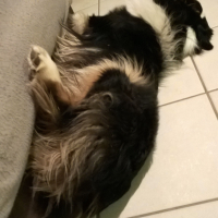 Photo #272231 de Joyce 