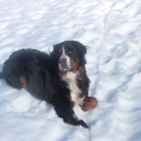 Photo #272256 de wicky