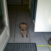 Photo #272266 de Bamby
