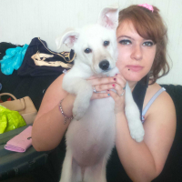 Photo #272305 de nala