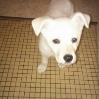 Photo #272306 de nala