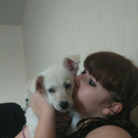 Photo #272307 de nala