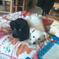 Photo #272308 de nala