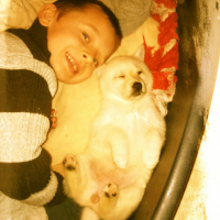 Photo #272309 de nala