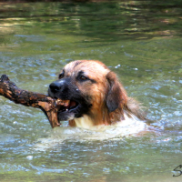 Photo #272315 de Bilbo