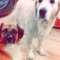 Photo #272316 de Bilbo