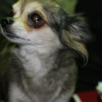 Photo #272440 de LUNA