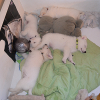 Photo #272475 de jess