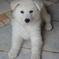 Photo #272479 de jess