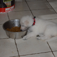 Photo #272480 de jess