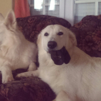 Photo #272488 de Judy