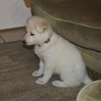 Photo #272489 de Judy