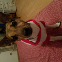 Photo #272495 de Ernest 