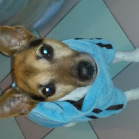 Photo #272496 de Ernest 