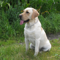 Photo #272546 de floyd