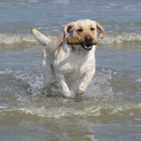 Photo #272547 de floyd