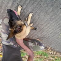 Photo #272595 de rocki