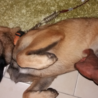 Photo #272596 de rocki