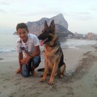 Photo #272597 de Jao