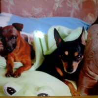 Photo #272607 de babou