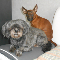 Photo #272608 de babou