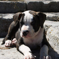Photo #272613 de Kayson 
