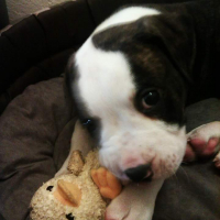 Photo #272614 de Kayson 