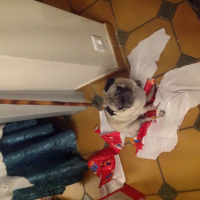 Photo #272676 de Elliot