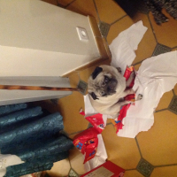 Photo #272677 de Elliot