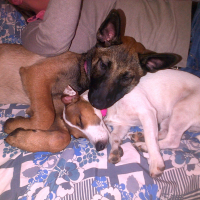Photo #272692 de letty & juna