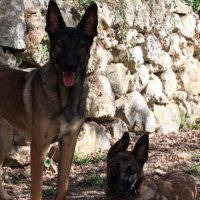 Photo #272693 de letty & juna