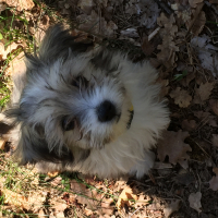 Photo #272741 de Lukytch