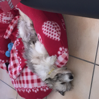 Photo #272742 de Lukytch