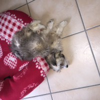 Photo #272745 de Lukytch