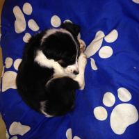 Photo #272793 de JESSIE
