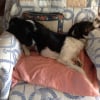 Mes positions dodo.....!!!