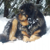 Photo #272830 de Kimi