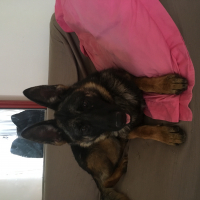 Photo #272864 de Lafter